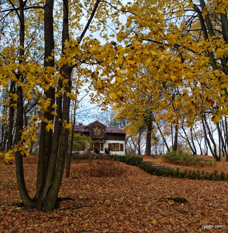 05-SAM_5714_muzeumnalkowskich