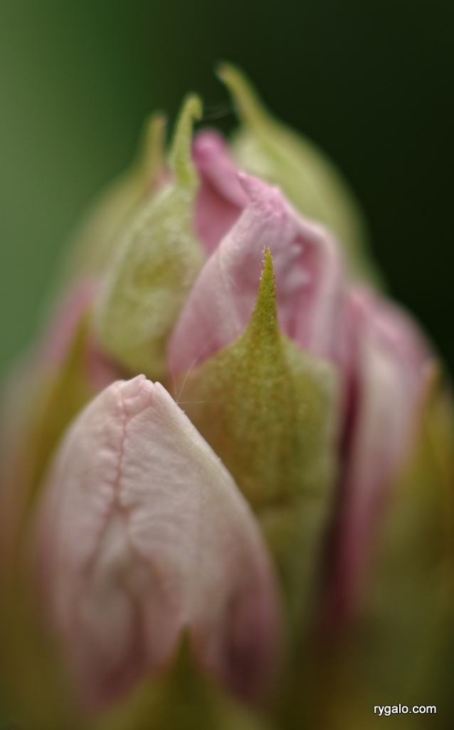 makro - pierwsze podejście